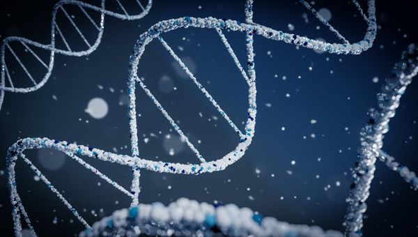 Високоспециализирани ДНК Изследвания (PCR)