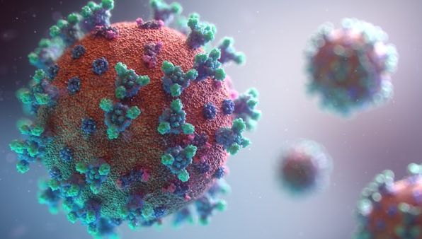 Паразитологични Изследвания