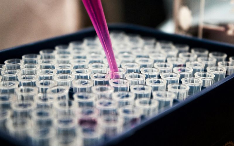 PCR изследване за Helicobacter pylori